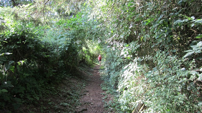 Klicke auf die Grafik für eine vergrößerte Ansicht

Name: IMG_50663.jpg
Ansichten: 24
Größe: 189,3 KB
ID: 3361285