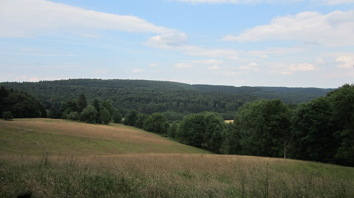 Klicke auf die Grafik für eine vergrößerte Ansicht

Name: IMG_5074.jpg
Ansichten: 22
Größe: 78,8 KB
ID: 3361288