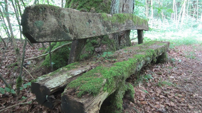 Klicke auf die Grafik für eine vergrößerte Ansicht

Name: IMG_50831.jpg
Ansichten: 24
Größe: 155,3 KB
ID: 3361289