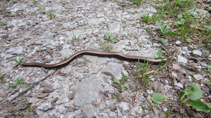 Klicke auf die Grafik für eine vergrößerte Ansicht

Name: IMG_50911.jpg
Ansichten: 24
Größe: 185,8 KB
ID: 3361290