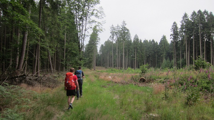 Klicke auf die Grafik für eine vergrößerte Ansicht

Name: IMG_51182.jpg
Ansichten: 27
Größe: 126,1 KB
ID: 3361294