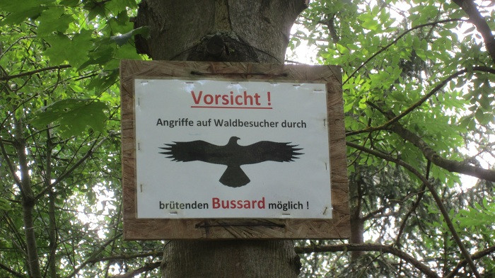 Klicke auf die Grafik für eine vergrößerte Ansicht

Name: IMG_51292.jpg
Ansichten: 23
Größe: 138,5 KB
ID: 3361299