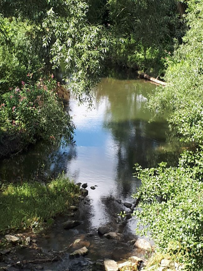 Klicke auf die Grafik für eine vergrößerte Ansicht

Name: 20170806_124400.jpg
Ansichten: 22
Größe: 266,7 KB
ID: 3361304