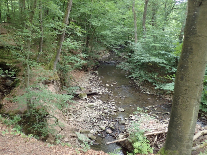 Klicke auf die Grafik für eine vergrößerte Ansicht  Name: malwiedertal.jpg Ansichten: 0 Größe: 181,3 KB ID: 3361322