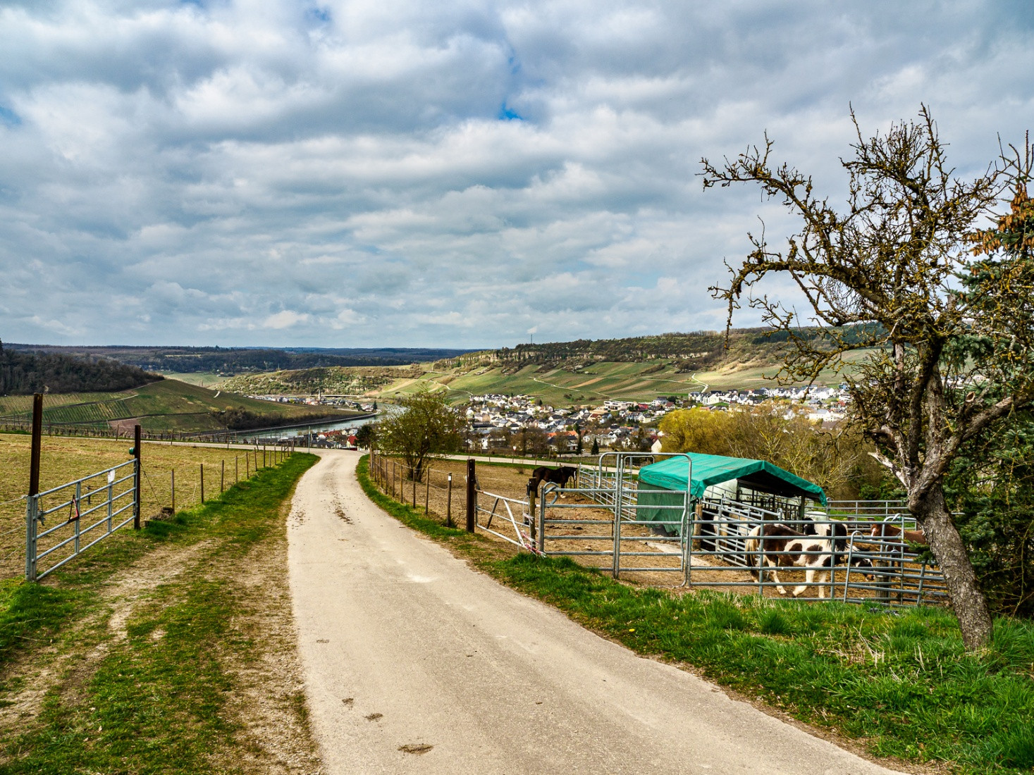 Klicke auf die Grafik für eine vergrößerte Ansicht  Name: dataurl042119.jpg Ansichten: 0 Größe: 695,2 KB ID: 3361344