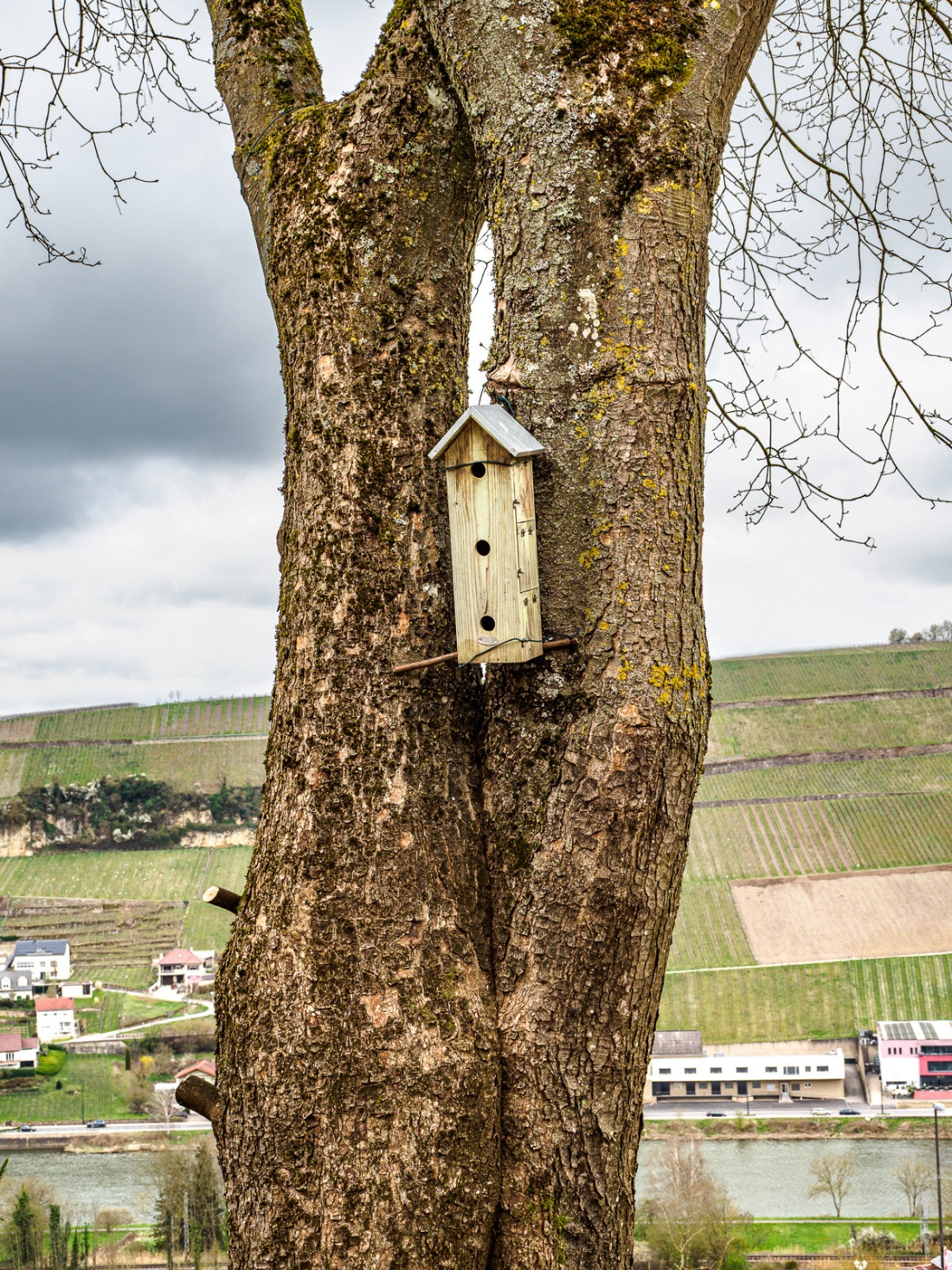 Klicke auf die Grafik für eine vergrößerte Ansicht  Name: dataurl042124.jpg Ansichten: 0 Größe: 835,6 KB ID: 3361350