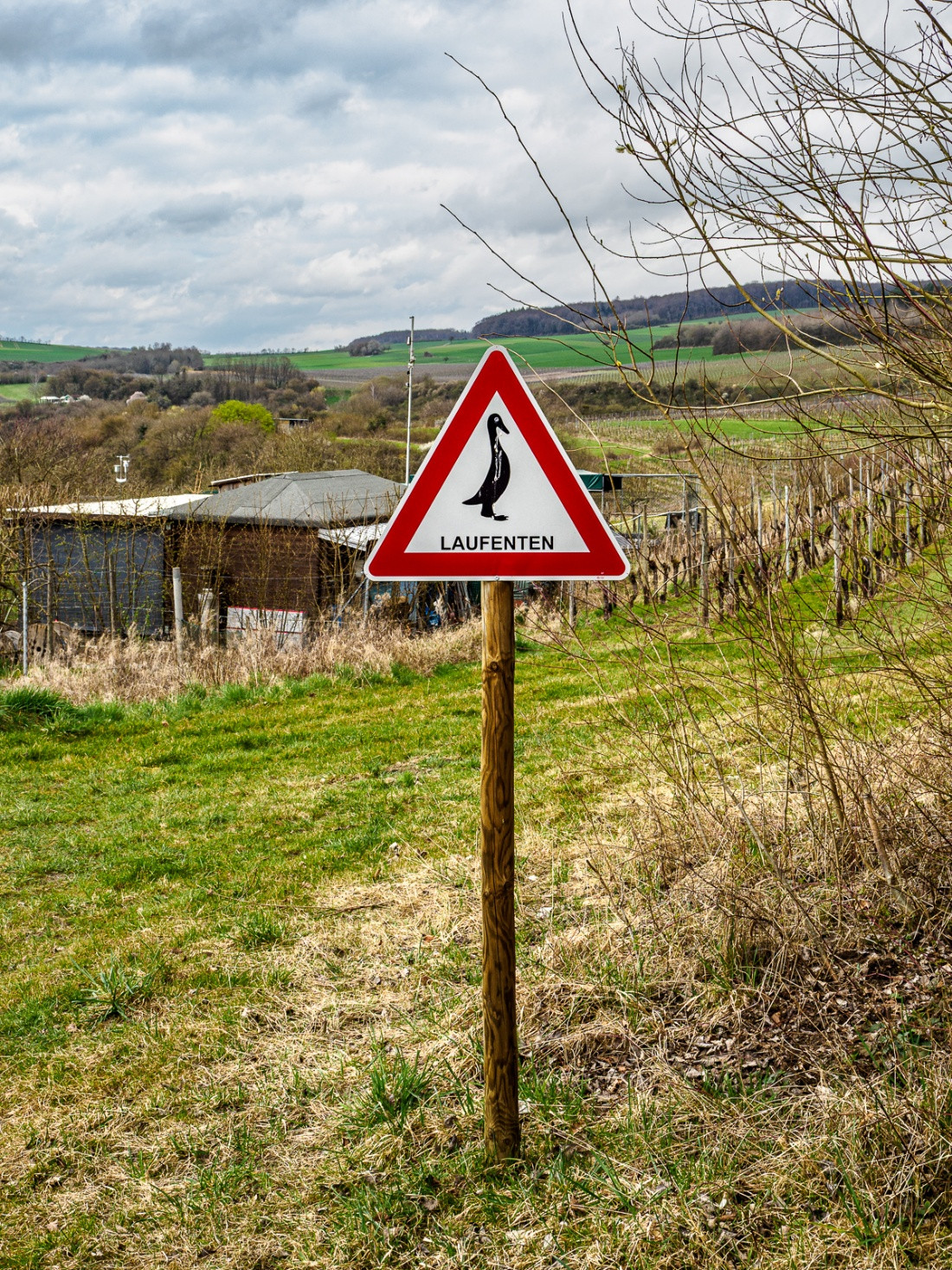 Klicke auf die Grafik für eine vergrößerte Ansicht  Name: dataurl042123.jpg Ansichten: 0 Größe: 952,9 KB ID: 3361353