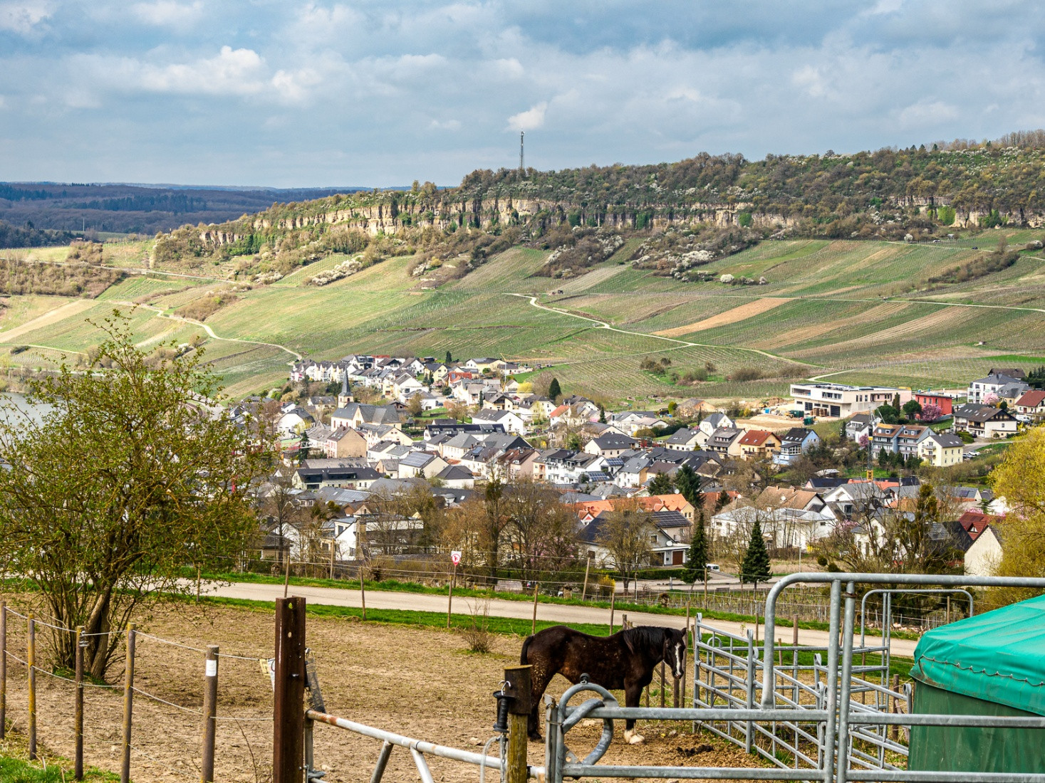 Klicke auf die Grafik für eine vergrößerte Ansicht  Name: dataurl042129.jpg Ansichten: 0 Größe: 778,5 KB ID: 3361355