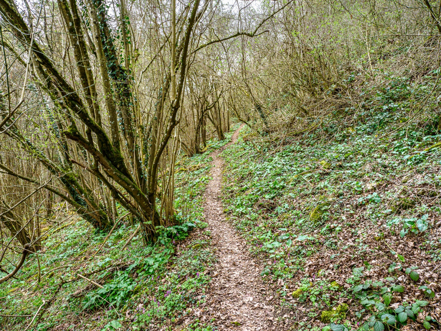 Klicke auf die Grafik für eine vergrößerte Ansicht  Name: dataurl042128.jpg Ansichten: 0 Größe: 1,22 MB ID: 3361357