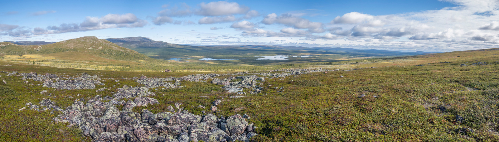 Klicke auf die Grafik für eine vergrößerte Ansicht

Name: Sjaunja_2025_199_Panorama_slim.jpg
Ansichten: 157
Größe: 544,2 KB
ID: 3361384