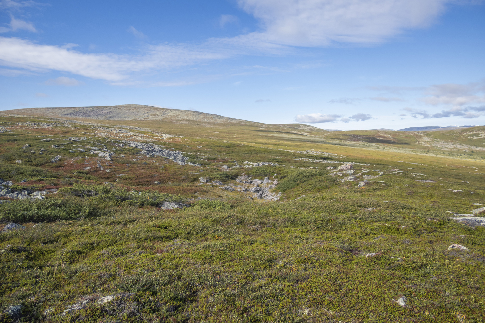 Klicke auf die Grafik für eine vergrößerte Ansicht

Name: Sjaunja_2025_199.jpg
Ansichten: 159
Größe: 1,01 MB
ID: 3361385