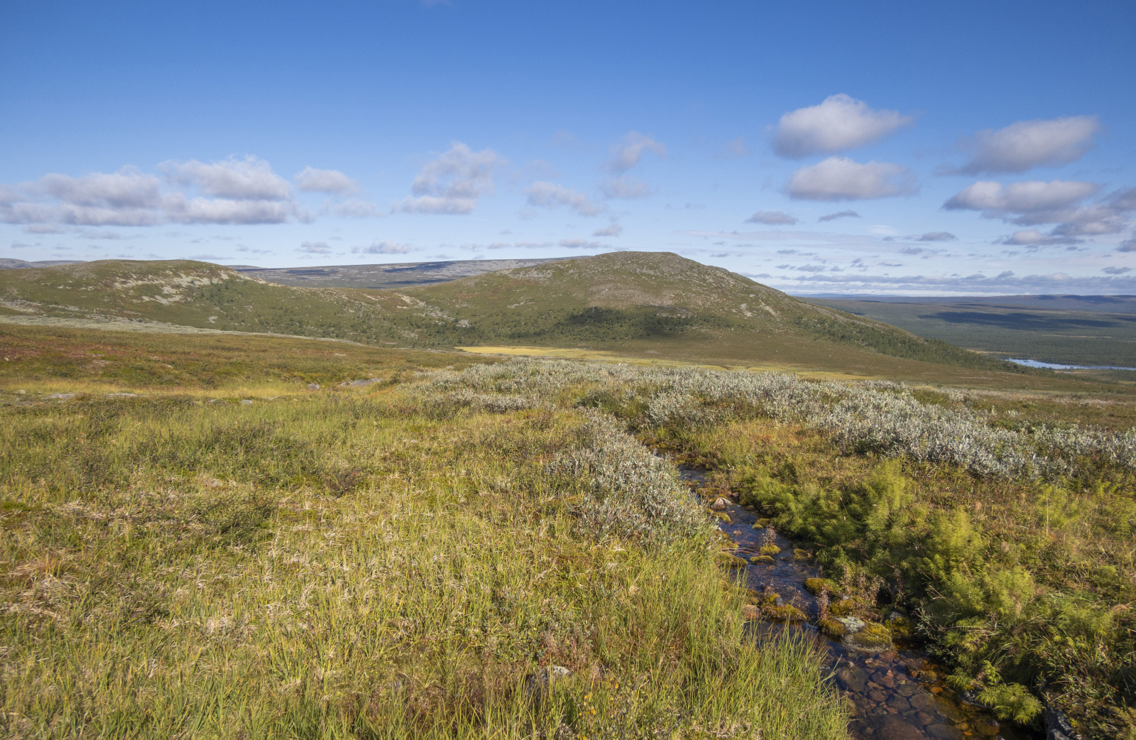 Klicke auf die Grafik für eine vergrößerte Ansicht

Name: Sjaunja_2025_205.jpg
Ansichten: 161
Größe: 1.001,6 KB
ID: 3361386