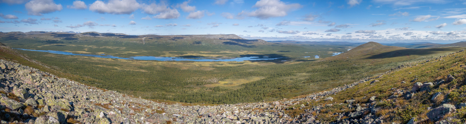 Klicke auf die Grafik für eine vergrößerte Ansicht

Name: Sjaunja_2025_211_Panorama.jpg
Ansichten: 160
Größe: 474,7 KB
ID: 3361387