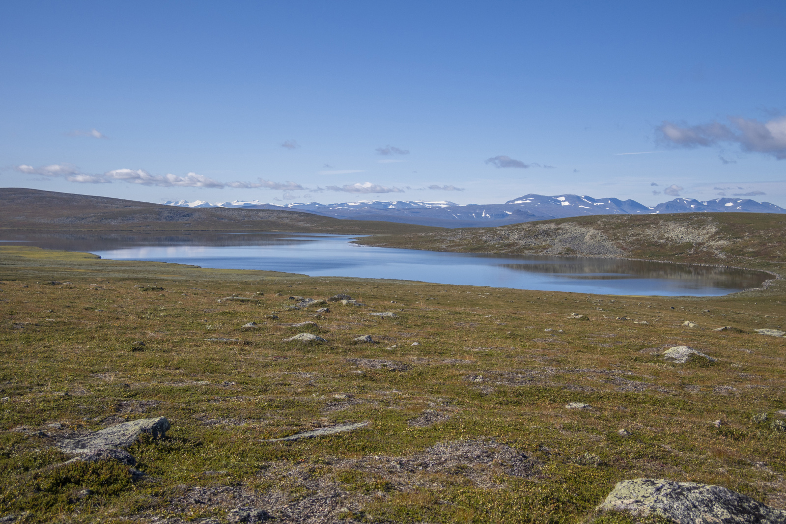 Klicke auf die Grafik für eine vergrößerte Ansicht

Name: Sjaunja_2025_214.jpg
Ansichten: 158
Größe: 903,1 KB
ID: 3361388