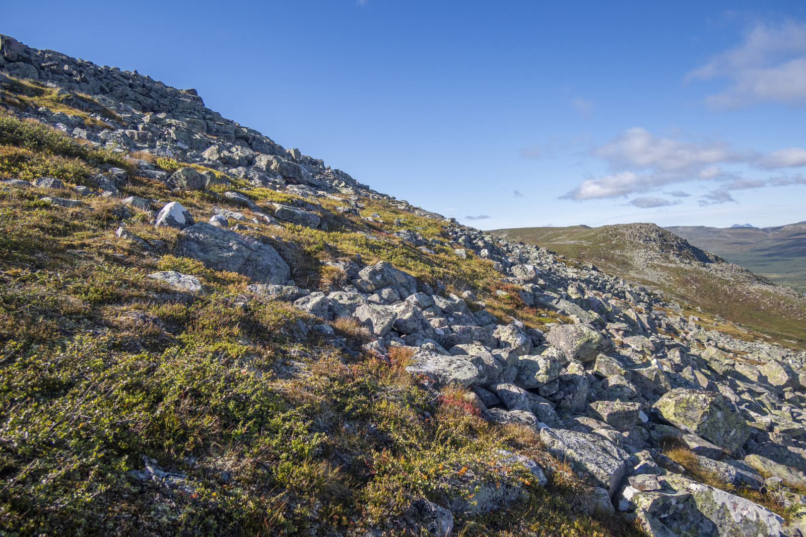 Klicke auf die Grafik für eine vergrößerte Ansicht

Name: Sjaunja_2025_208.jpg
Ansichten: 160
Größe: 1,14 MB
ID: 3361389