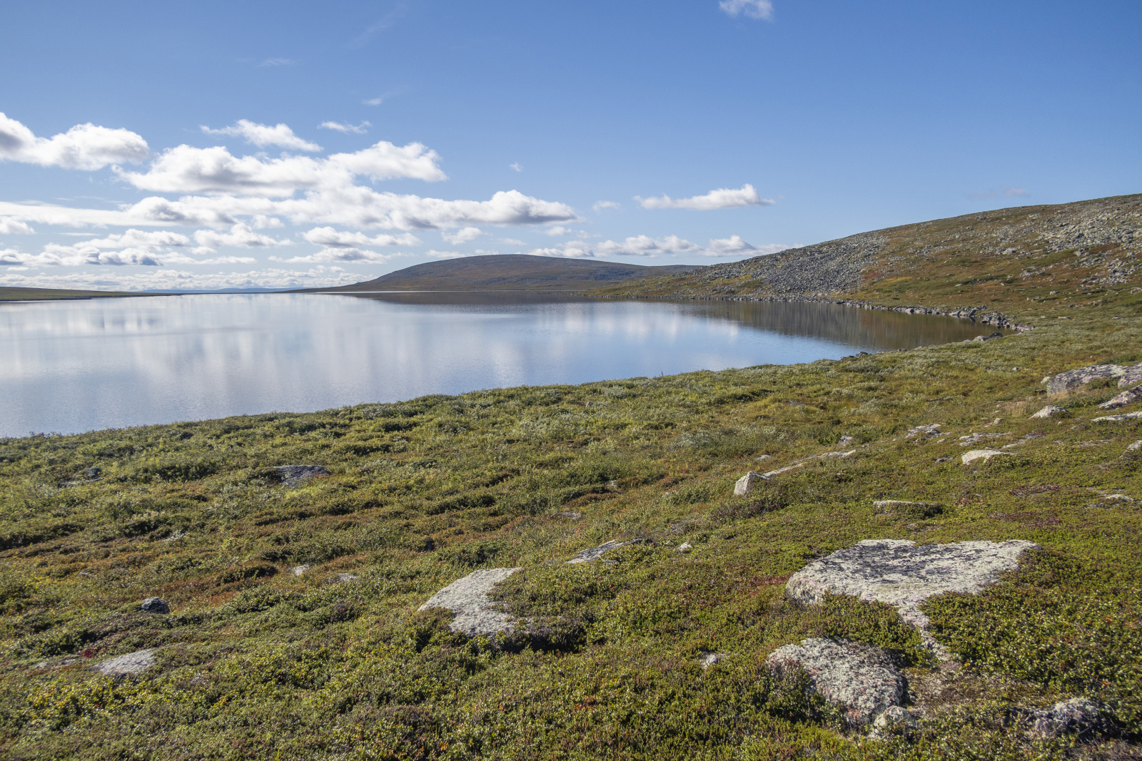 Klicke auf die Grafik für eine vergrößerte Ansicht

Name: Sjaunja_2025_218.jpg
Ansichten: 160
Größe: 1,06 MB
ID: 3361393