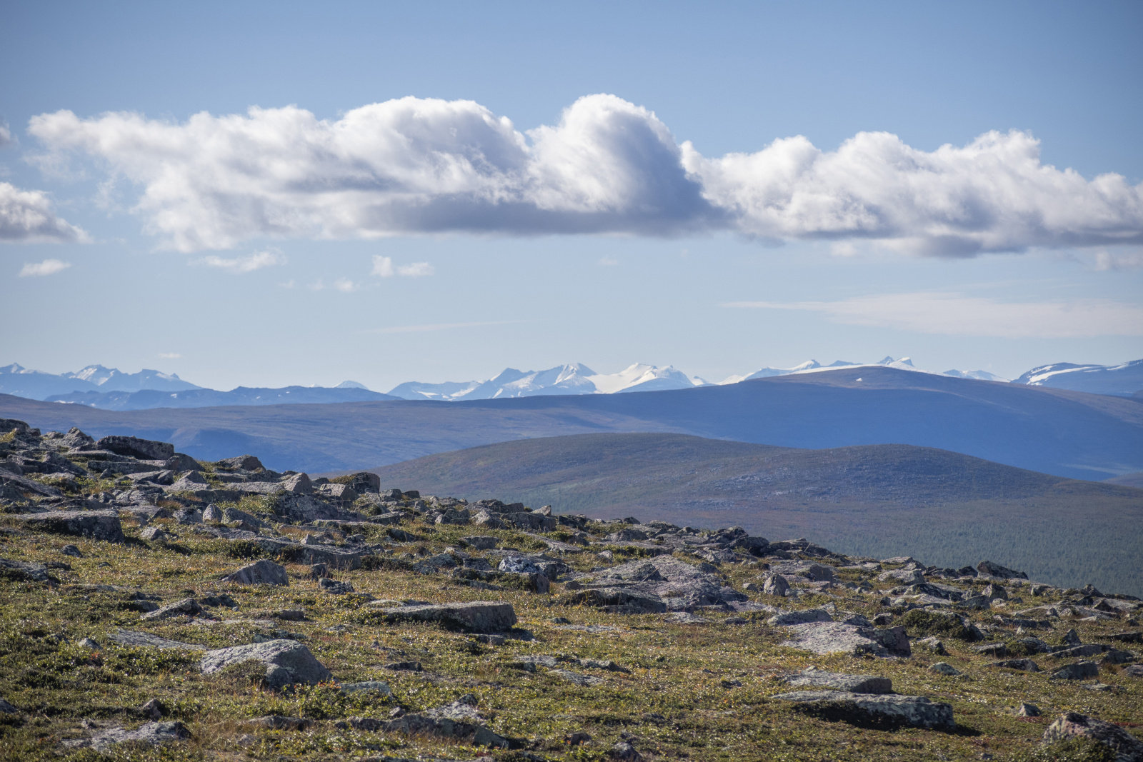 Klicke auf die Grafik für eine vergrößerte Ansicht

Name: Sjaunja_2025_236.jpg
Ansichten: 158
Größe: 753,9 KB
ID: 3361394