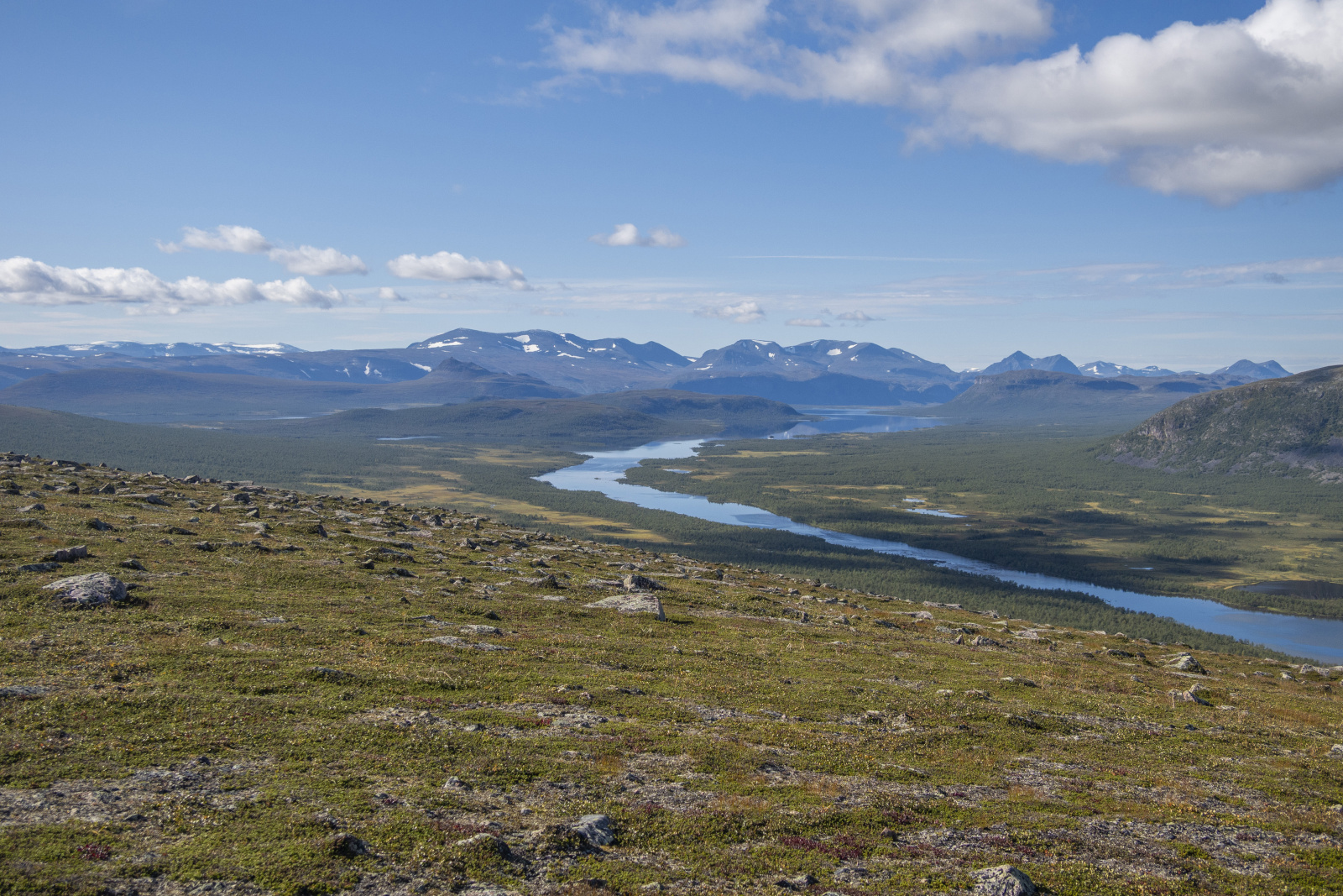 Klicke auf die Grafik für eine vergrößerte Ansicht

Name: Sjaunja_2025_235.jpg
Ansichten: 161
Größe: 915,3 KB
ID: 3361395