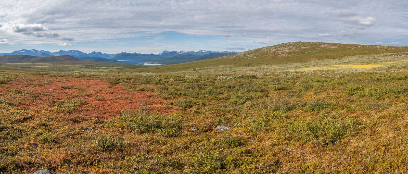 Klicke auf die Grafik für eine vergrößerte Ansicht

Name: Sjaunja_2025_238_Panorama_small.jpg
Ansichten: 161
Größe: 909,9 KB
ID: 3361396