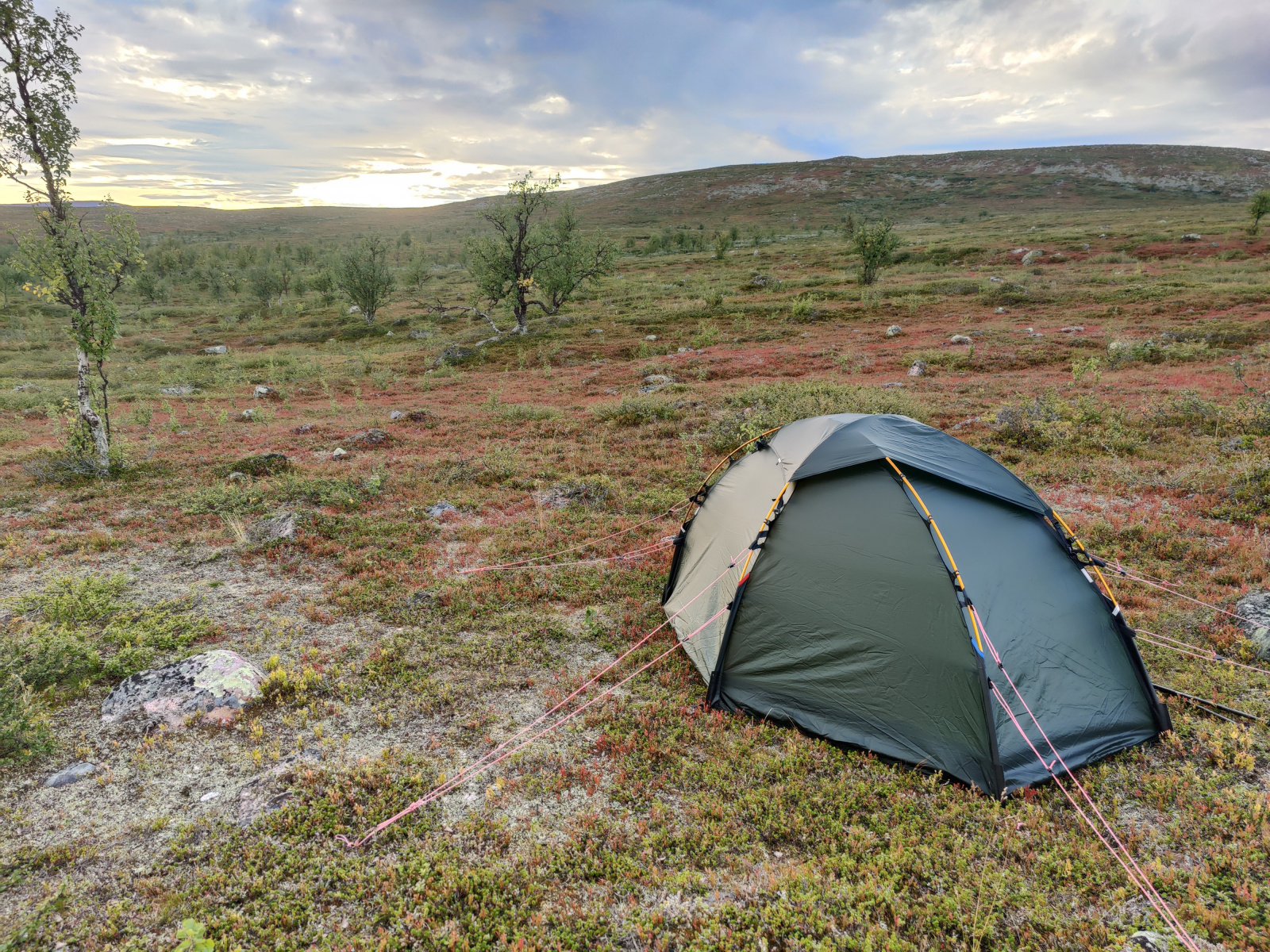 Klicke auf die Grafik für eine vergrößerte Ansicht

Name: IMG_20250827_184249.jpg
Ansichten: 159
Größe: 1,30 MB
ID: 3361397