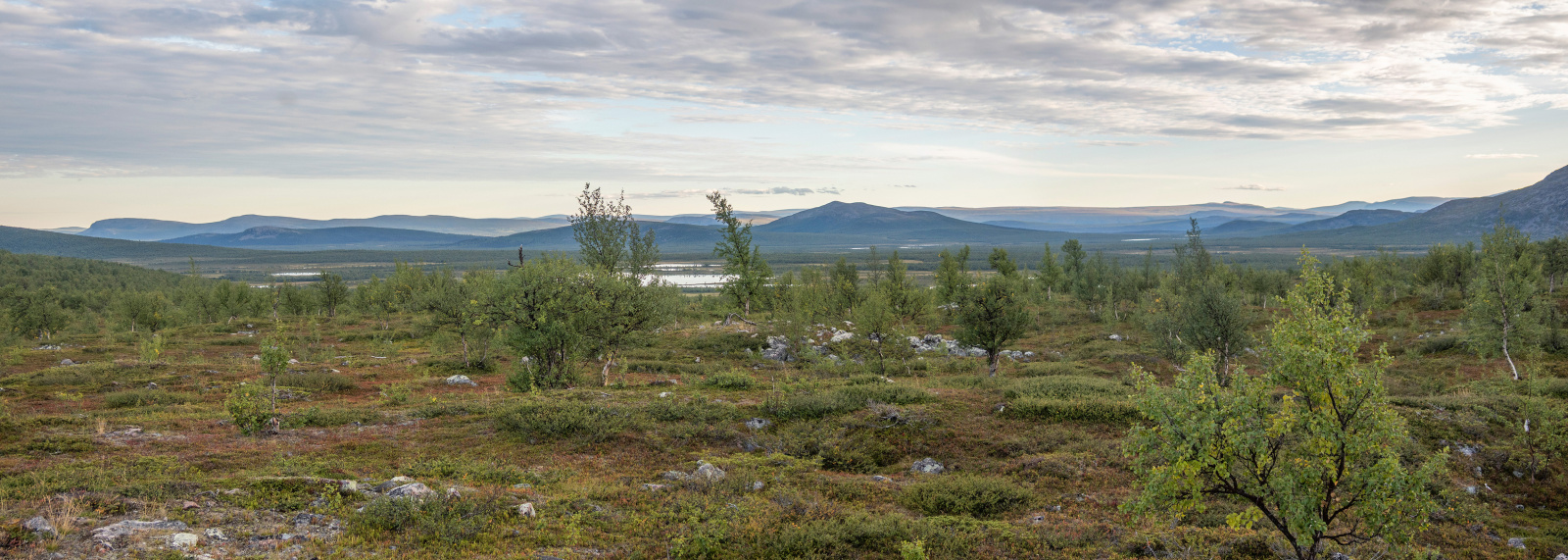 Klicke auf die Grafik für eine vergrößerte Ansicht

Name: Sjaunja_2025_241_Panorama_small.jpg
Ansichten: 159
Größe: 549,5 KB
ID: 3361398