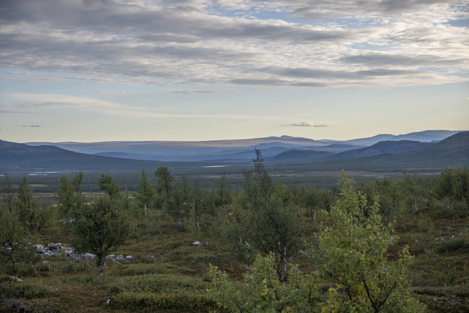 Klicke auf die Grafik für eine vergrößerte Ansicht

Name: Sjaunja_2025_243.jpg
Ansichten: 159
Größe: 698,2 KB
ID: 3361399