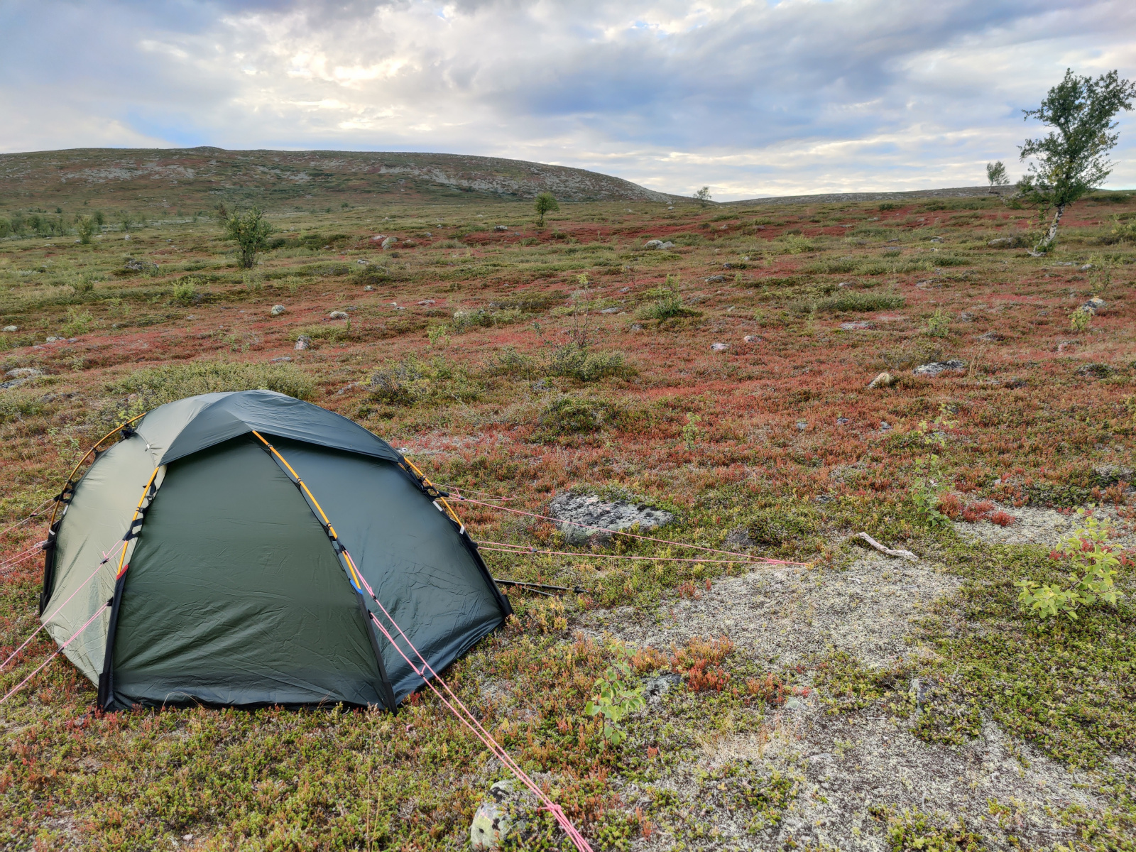 Klicke auf die Grafik für eine vergrößerte Ansicht

Name: IMG_20250827_184253.jpg
Ansichten: 159
Größe: 1,30 MB
ID: 3361401