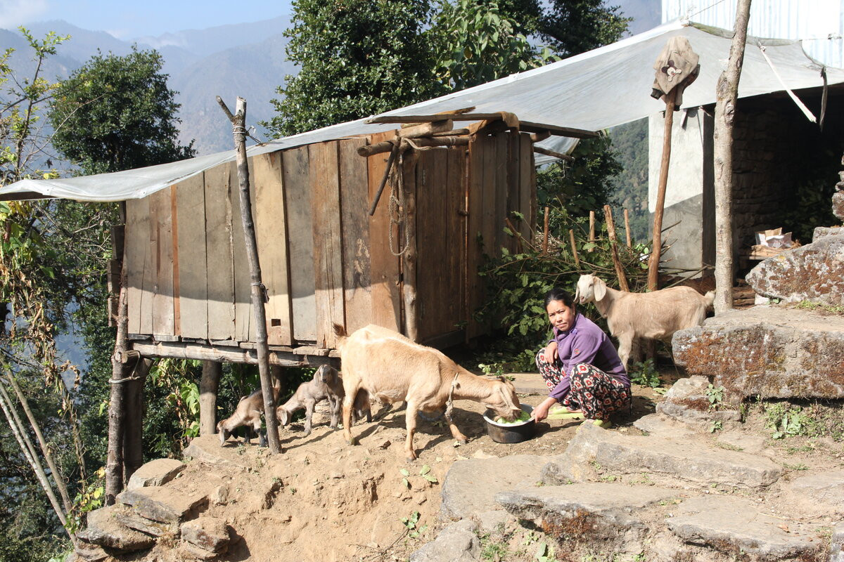 Klicke auf die Grafik für eine vergrößerte Ansicht  Name: IMG_0083.jpg Ansichten: 0 Größe: 432,0 KB ID: 3361446