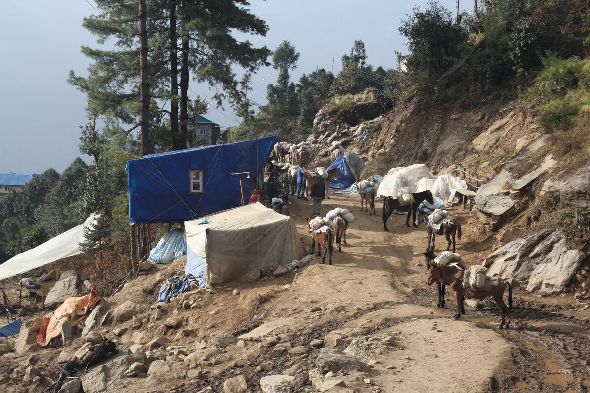 Klicke auf die Grafik für eine vergrößerte Ansicht  Name: IMG_0097.jpg Ansichten: 0 Größe: 395,4 KB ID: 3361452