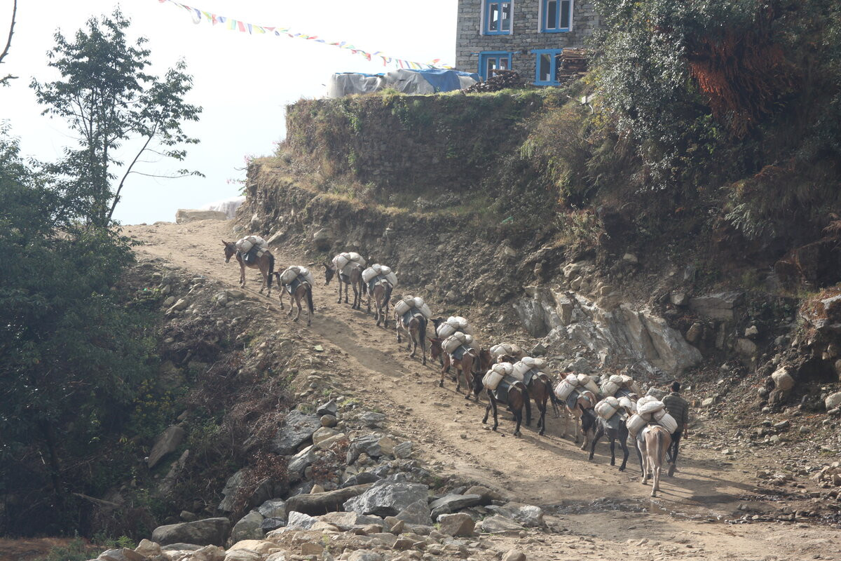 Klicke auf die Grafik für eine vergrößerte Ansicht  Name: IMG_0098.jpg Ansichten: 0 Größe: 364,3 KB ID: 3361453