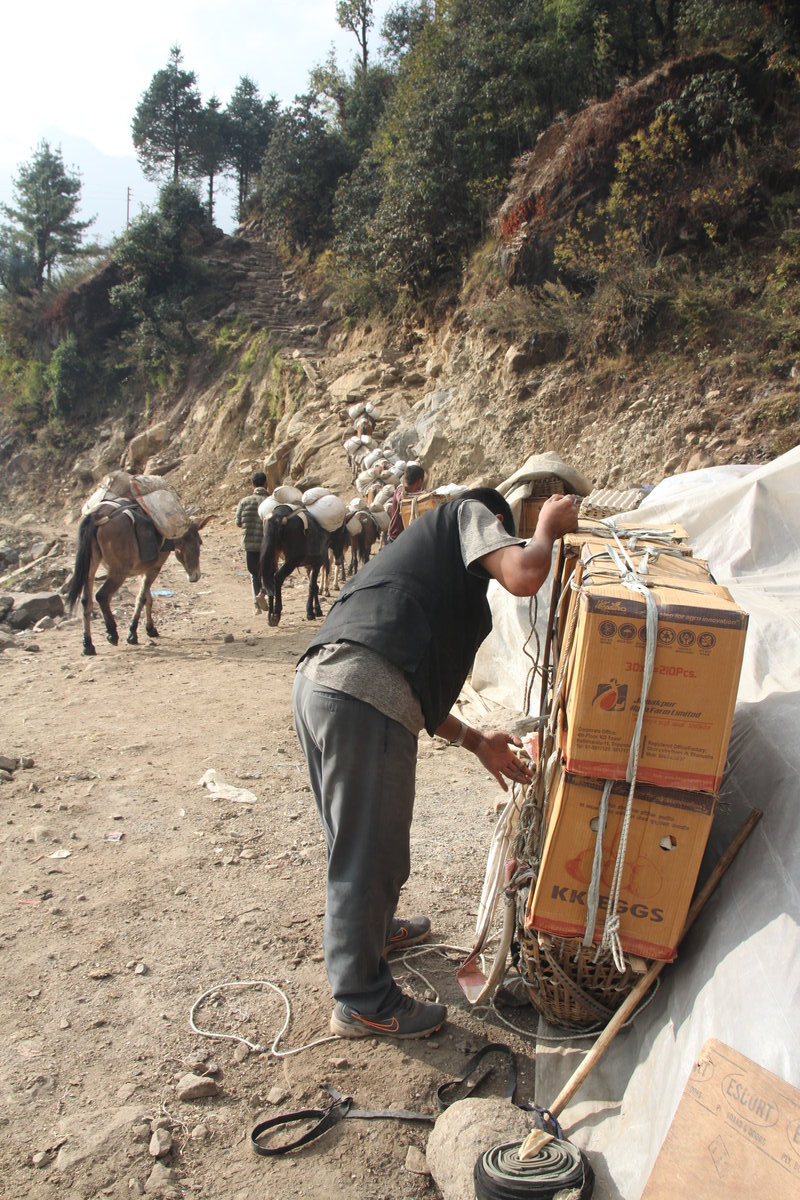 Klicke auf die Grafik für eine vergrößerte Ansicht  Name: IMG_0101.jpg Ansichten: 0 Größe: 382,4 KB ID: 3361454