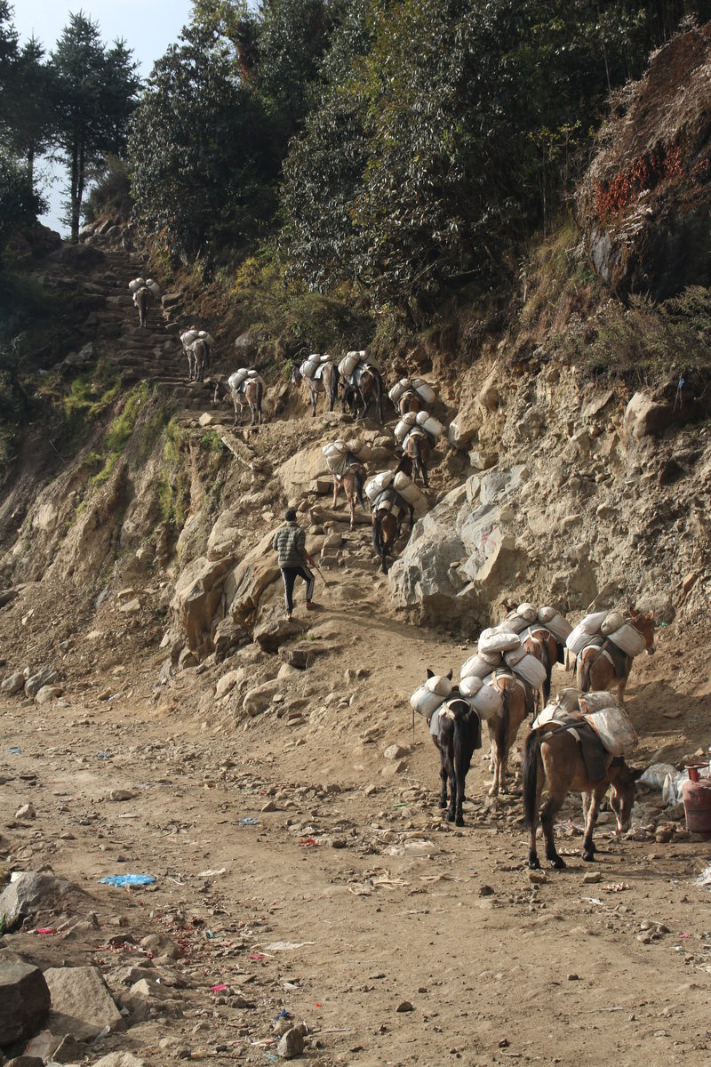 Klicke auf die Grafik für eine vergrößerte Ansicht  Name: IMG_0102.jpg Ansichten: 0 Größe: 455,1 KB ID: 3361455