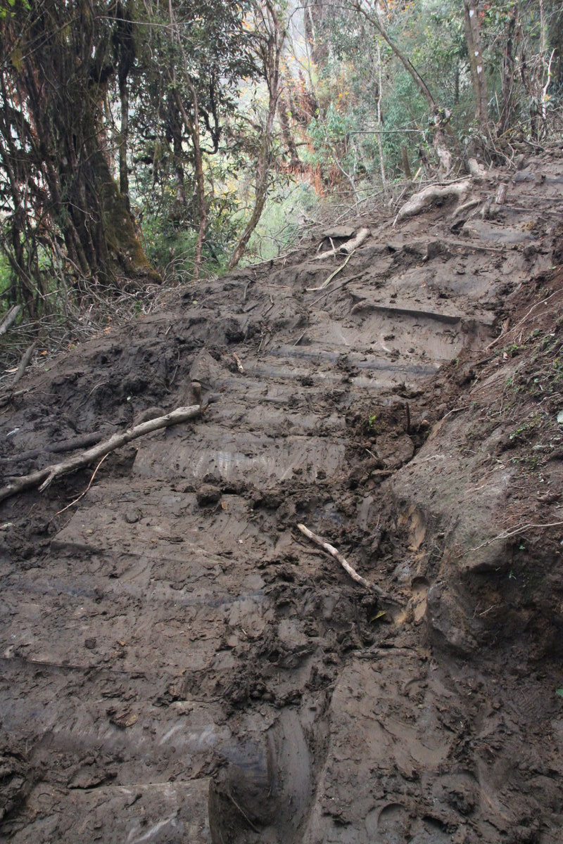 Klicke auf die Grafik für eine vergrößerte Ansicht  Name: IMG_0109.jpg Ansichten: 0 Größe: 407,9 KB ID: 3361458