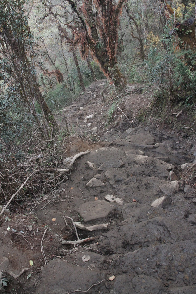 Klicke auf die Grafik für eine vergrößerte Ansicht  Name: IMG_0110.jpg Ansichten: 0 Größe: 399,5 KB ID: 3361459