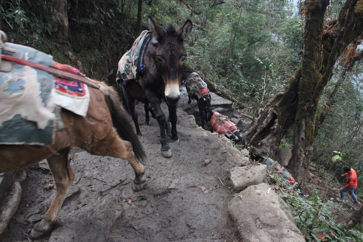 Klicke auf die Grafik für eine vergrößerte Ansicht  Name: IMG_0112.jpg Ansichten: 0 Größe: 341,9 KB ID: 3361460