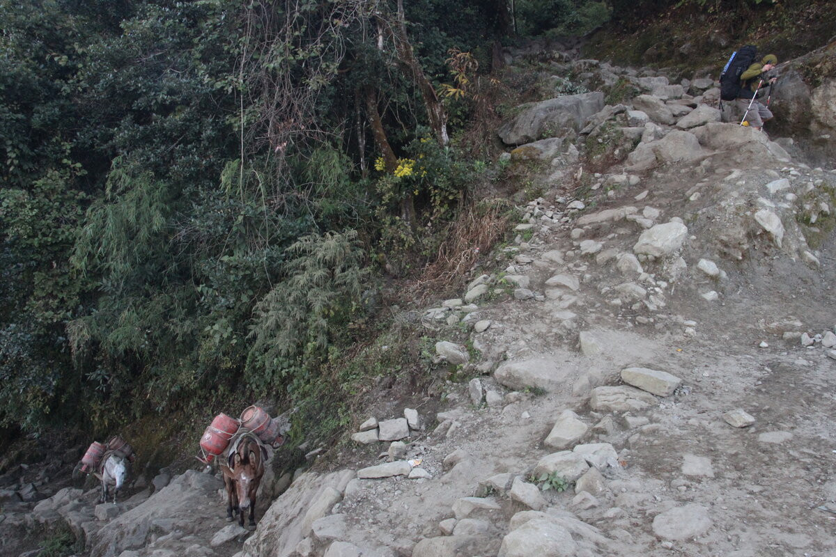 Klicke auf die Grafik für eine vergrößerte Ansicht  Name: IMG_0116.jpg Ansichten: 0 Größe: 360,4 KB ID: 3361461