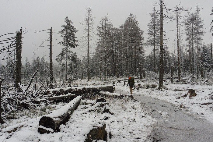 Klicke auf die Grafik für eine vergrößerte Ansicht  Name: WAI-1912-Torfhaus-Berga_2c_.jpg Ansichten: 0 Größe: 155,1 KB ID: 3361679