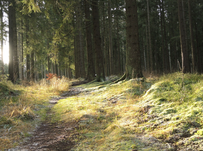 Klicke auf die Grafik für eine vergrößerte Ansicht

Name: WAI-1912-Torfhaus-Berga_14_.jpg
Ansichten: 12
Größe: 200,1 KB
ID: 3361694