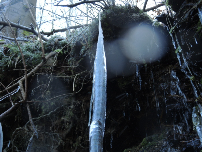 Klicke auf die Grafik für eine vergrößerte Ansicht

Name: WAI-1912-Torfhaus-Berga_24_.jpg
Ansichten: 11
Größe: 134,7 KB
ID: 3361706