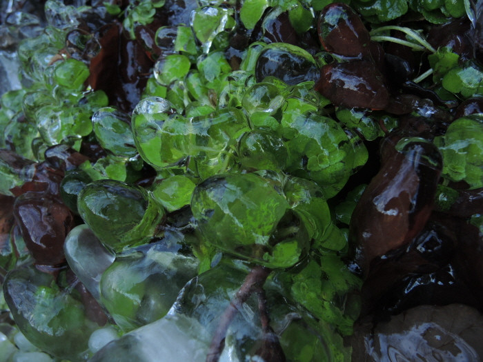 Klicke auf die Grafik für eine vergrößerte Ansicht

Name: WAI-1912-Torfhaus-Berga_25_.jpg
Ansichten: 11
Größe: 137,4 KB
ID: 3361707