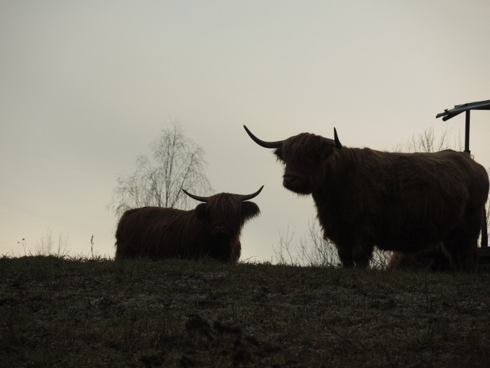 Klicke auf die Grafik für eine vergrößerte Ansicht

Name: WAI-1912-Torfhaus-Berga_37_.jpg
Ansichten: 11
Größe: 68,5 KB
ID: 3361717