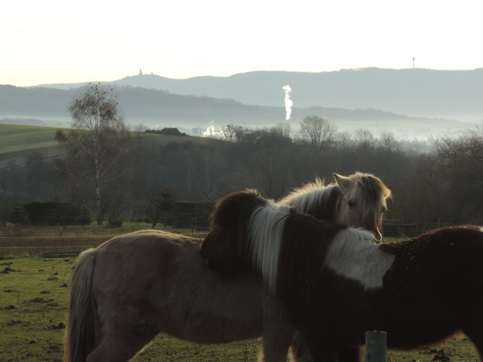 Klicke auf die Grafik für eine vergrößerte Ansicht

Name: WAI-1912-Torfhaus-Berga_43_.jpg
Ansichten: 18
Größe: 64,3 KB
ID: 3361724