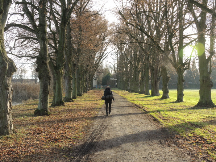 Klicke auf die Grafik für eine vergrößerte Ansicht

Name: WAI-1912-Torfhaus-Berga_46_.jpg
Ansichten: 18
Größe: 208,2 KB
ID: 3361726