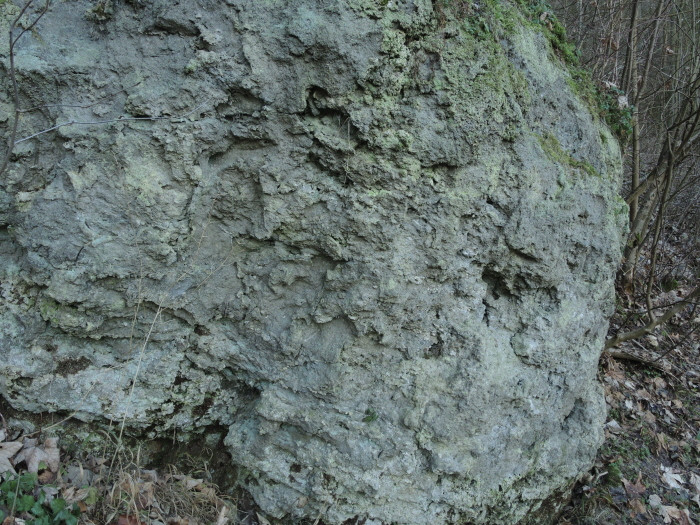 Klicke auf die Grafik für eine vergrößerte Ansicht

Name: WAI-1912-Torfhaus-Berga_48_.jpg
Ansichten: 17
Größe: 199,5 KB
ID: 3361728