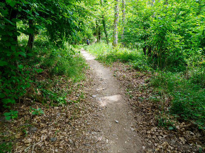 Klicke auf die Grafik für eine vergrößerte Ansicht

Name: Bild 10.jpg
Ansichten: 114
Größe: 1,26 MB
ID: 3361749