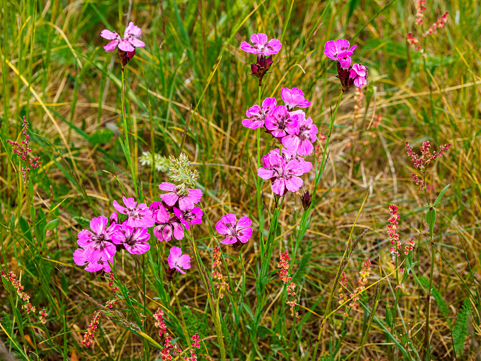 Klicke auf die Grafik für eine vergrößerte Ansicht

Name: Bild 15.jpg
Ansichten: 113
Größe: 859,3 KB
ID: 3361752