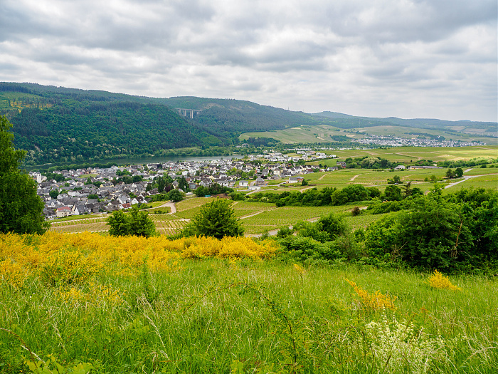 Klicke auf die Grafik für eine vergrößerte Ansicht

Name: Bild 18.jpg
Ansichten: 115
Größe: 1,01 MB
ID: 3361753