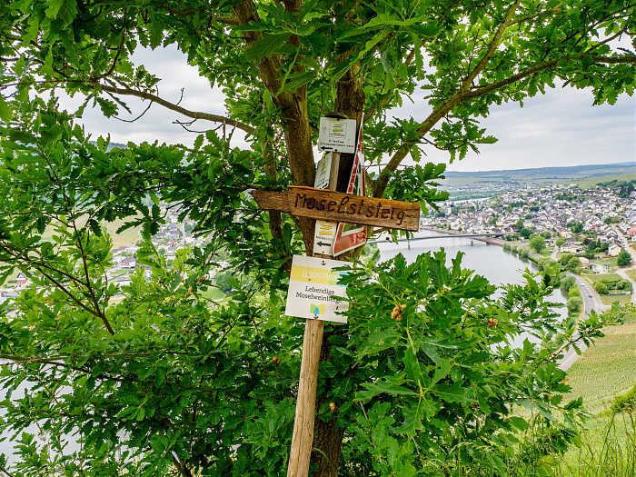 Klicke auf die Grafik für eine vergrößerte Ansicht

Name: Bild 26.jpg
Ansichten: 113
Größe: 1,23 MB
ID: 3361761