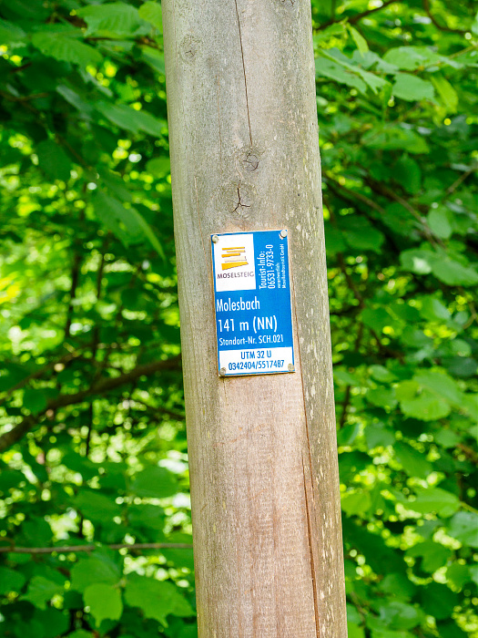 Klicke auf die Grafik für eine vergrößerte Ansicht

Name: Bild 37.jpg
Ansichten: 110
Größe: 695,7 KB
ID: 3361769