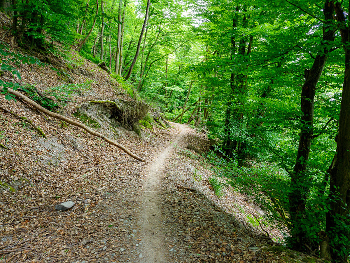 Klicke auf die Grafik für eine vergrößerte Ansicht

Name: Bild 35.jpg
Ansichten: 111
Größe: 1,52 MB
ID: 3361772